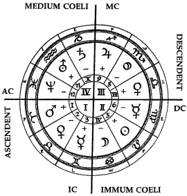 Radix